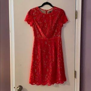 Adriana Papell cocktail dress